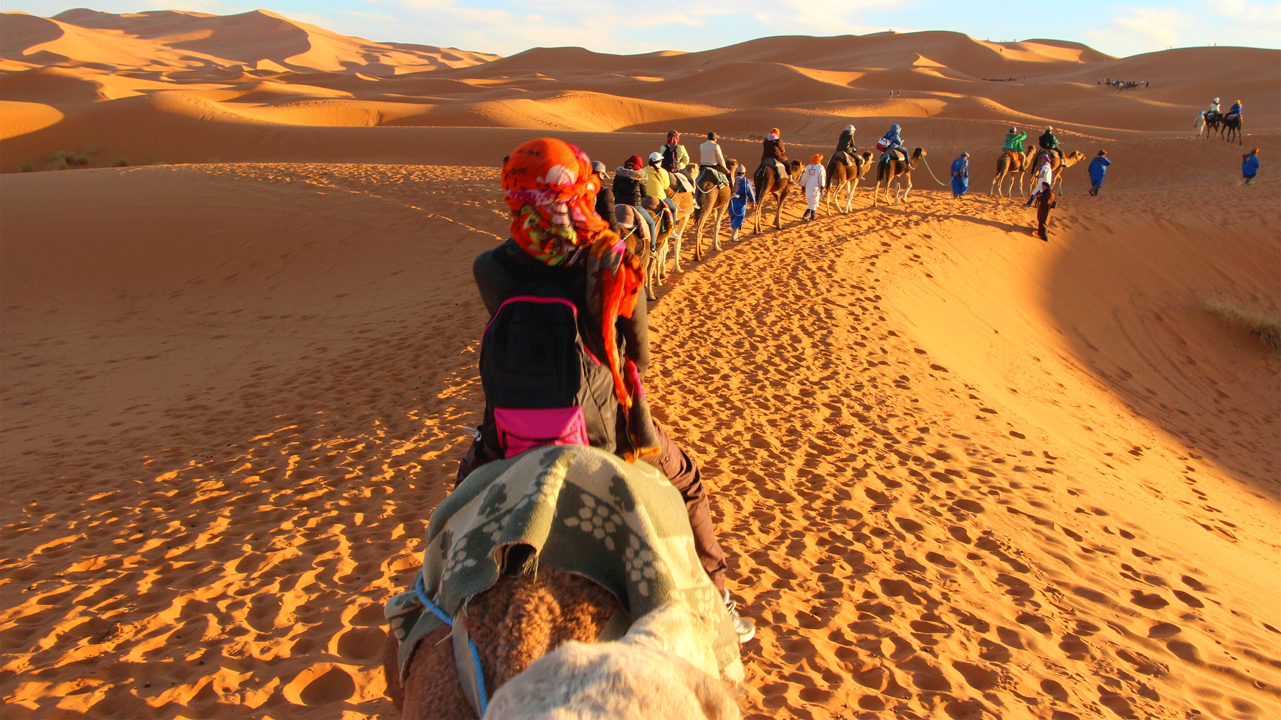 Camel Trekking in the Sahara – A Breathtaking Desert Adventure