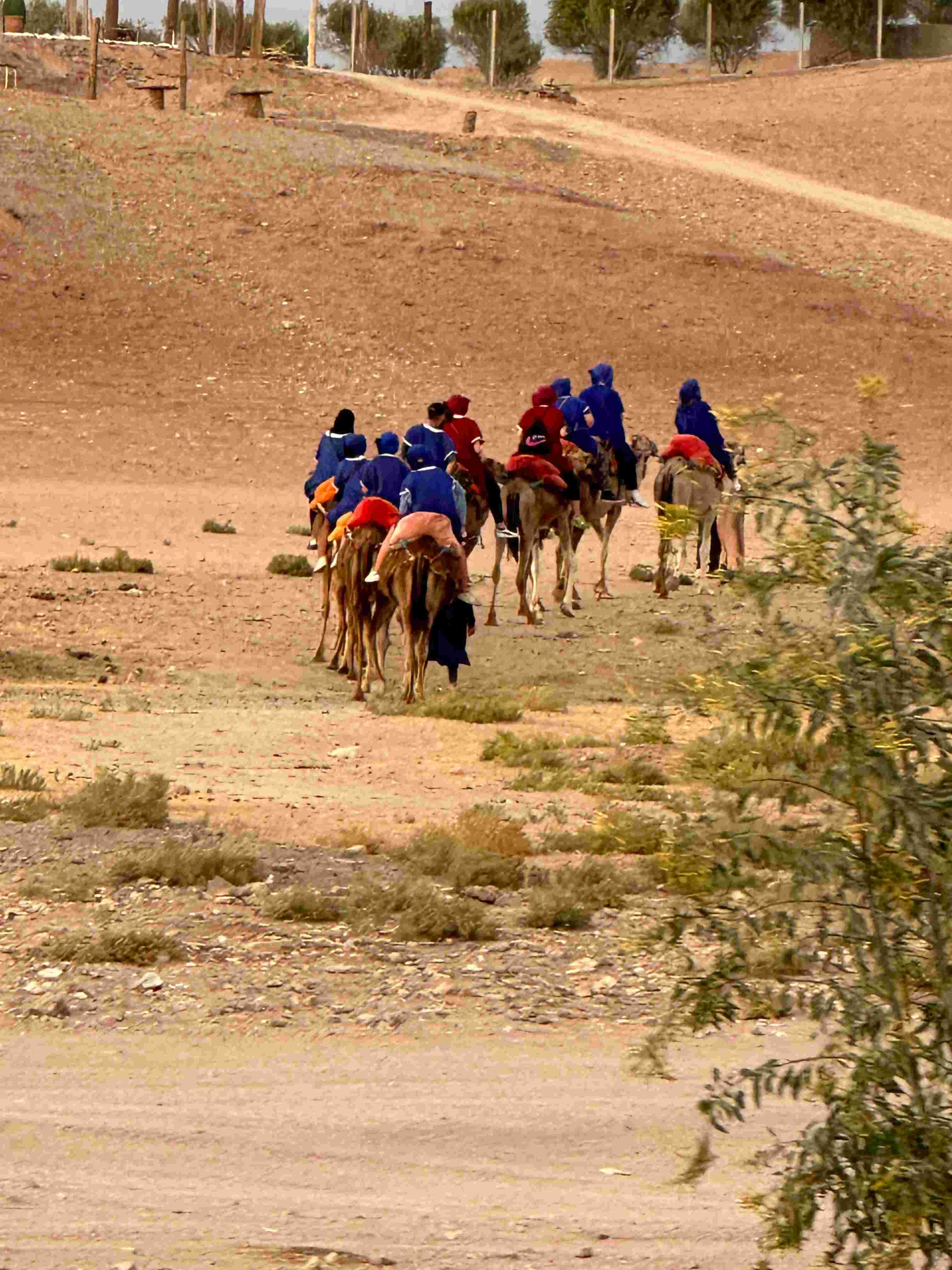 4-daagse Rondreis Marrakech & Sahara | Unieke Woestijnervaringen